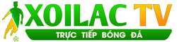 bằng chứng thép